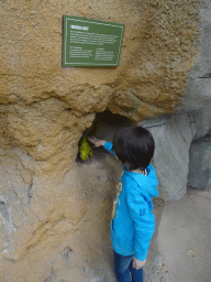 Max with his plush crocodile toy and a Crocodile egg statues at the Hippopotamus and Crocodile enclosure at the Safaripark Beekse Bergen