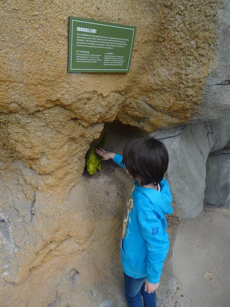 Max with his plush crocodile toy and a Crocodile egg statues at the Hippopotamus and Crocodile enclosure at the Safaripark Beekse Bergen