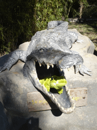 Max`s plush crocodile toy in a crocodile statue in front of the Hippopotamus and Crocodile enclosure at the Safaripark Beekse Bergen