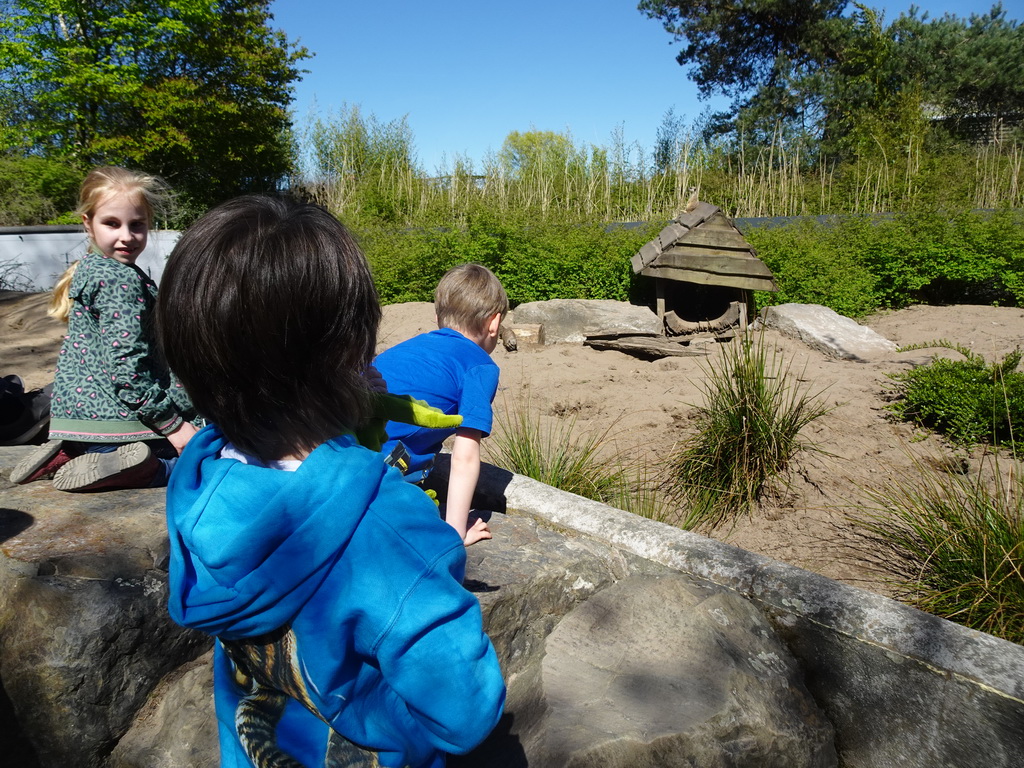 Max with Meerkats at the Safaripark Beekse Bergen