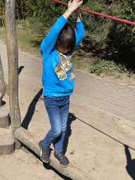 Max on a pole bridge at the playground near the Chimpanzee enclosure at the Safaripark Beekse Bergen