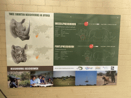 Information on the Square-lipped Rhinoceros and Hook-lipped Rhinoceros at the Rhinoceros enclosure at the Safaripark Beekse Bergen