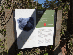 Explanation on the Sloth Bear at the Safaripark Beekse Bergen