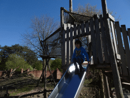 Max at the slide at the Sloth Bear enclosure at the Safaripark Beekse Bergen