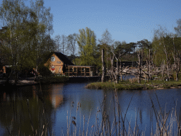 The Kongo restaurant and the Black-and-white Ruffed Lemur island at the Safaripark Beekse Bergen, viewed from near the Sloth Bear enclosure