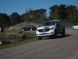 Jeep, Addax and cars doing the Autosafari at the Safaripark Beekse Bergen, viewed from the car