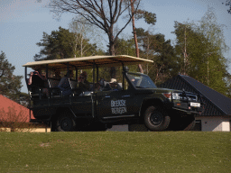 Jeep doing the Autosafari at the Safaripark Beekse Bergen, viewed from the car