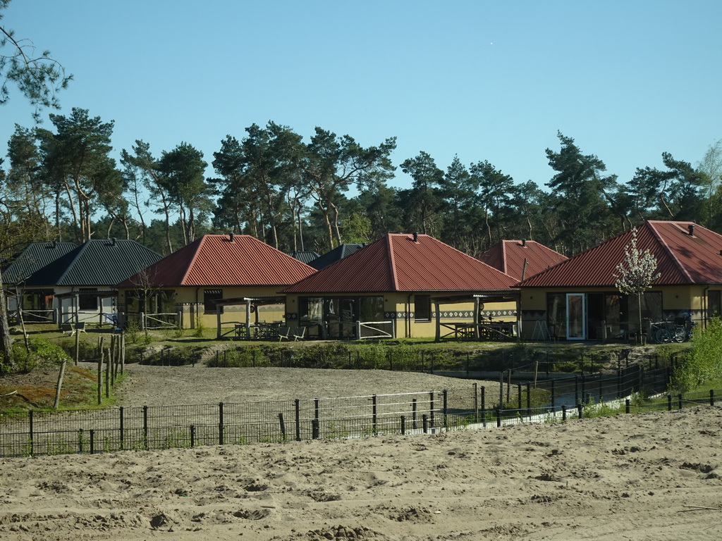 Holiday homes at the Safari Resort at the Safaripark Beekse Bergen, viewed from the car during the Autosafari