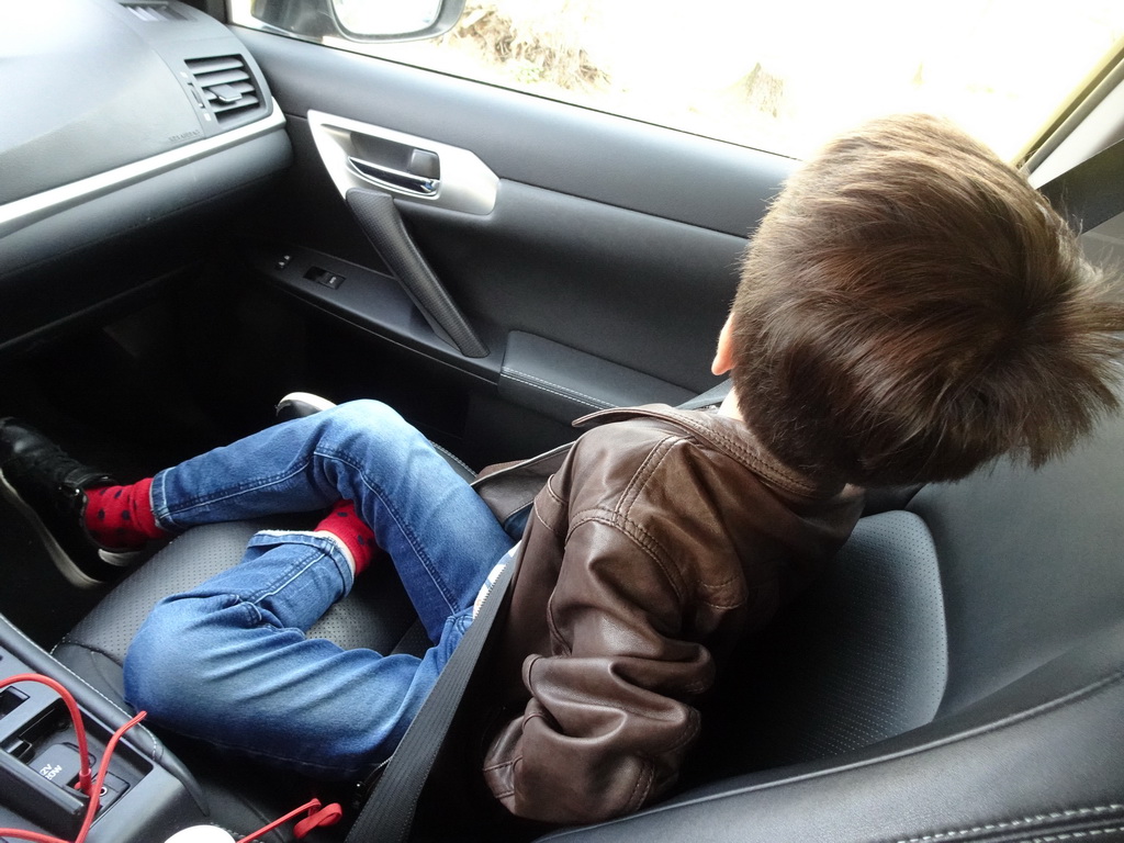 Max in the front of the car during the Autosafari at the Safaripark Beekse Bergen