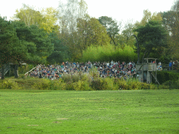The Birds of Prey Safari area at the Safaripark Beekse Bergen, viewed from the car during the Autosafari