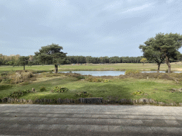 The Birds of Prey Safari area at the Safaripark Beekse Bergen