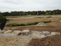 Square-lipped Rhinoceros at the new Savannah area and a safari boat at the Safaripark Beekse Bergen