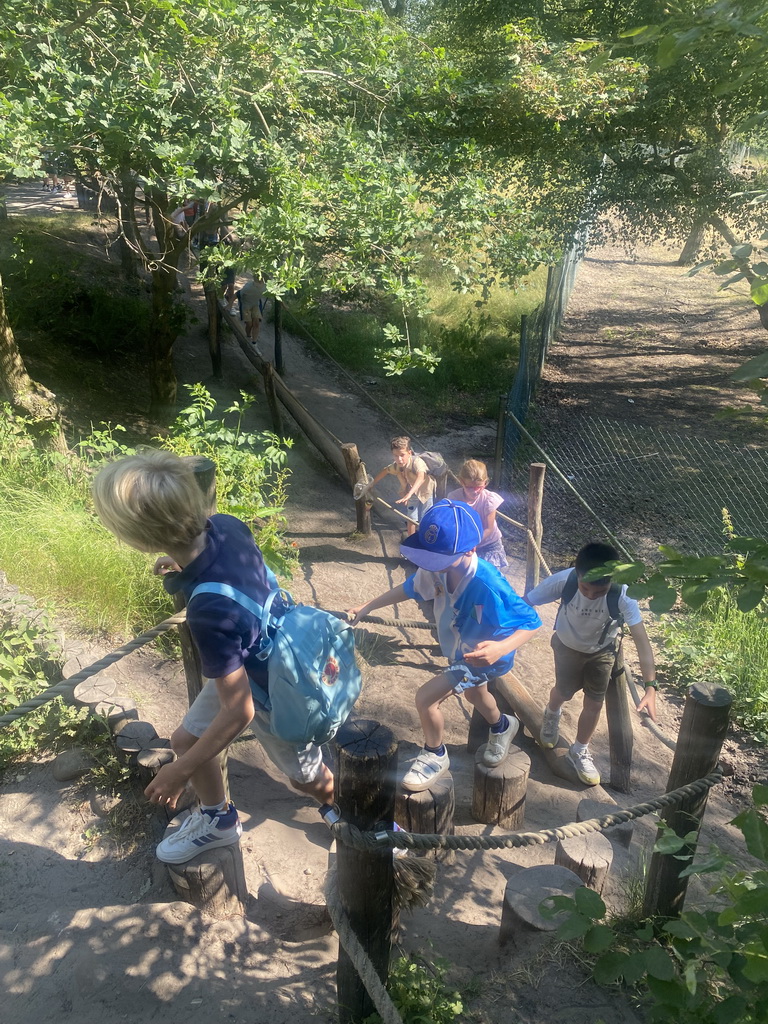 Max and his friends on a rope bridge at the Safaripark Beekse Bergen