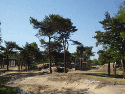 New Elephant enclosure at the Safaripark Beekse Bergen, under construction