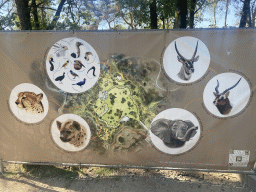 Map of the new Elephant enclosure and surroundings at the Safaripark Beekse Bergen