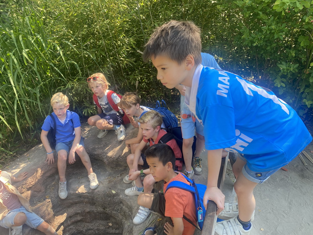 Max and his friends at the Coltan Mine at the Safaripark Beekse Bergen