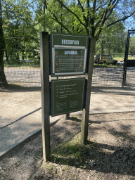 Sign of the Bus Safari at the Safaripark Beekse Bergen