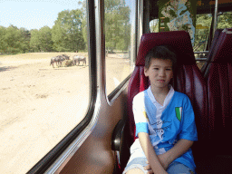 Max at the bus at the Safaripark Beekse Bergen, with a view on Wildebeests, during the Bus Safari