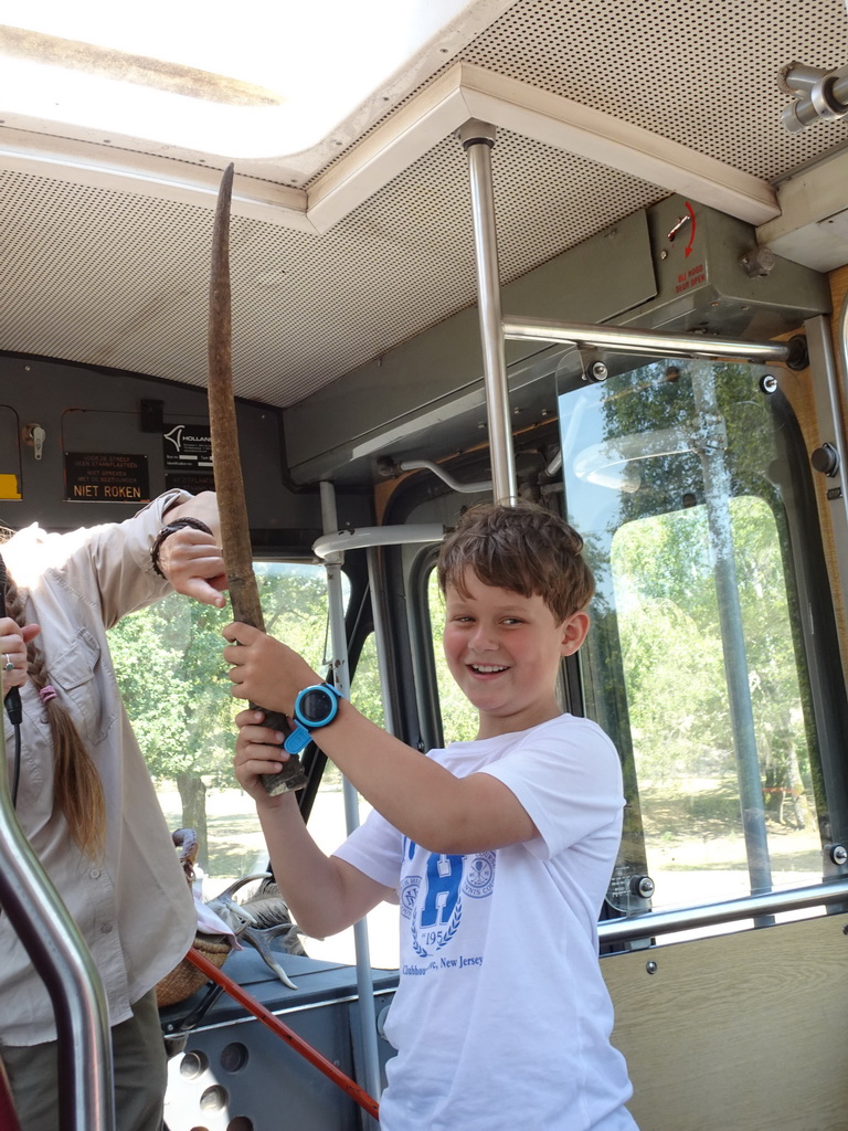 Max`s friend with a horn at the bus at the Safaripark Beekse Bergen, during the Bus Safari