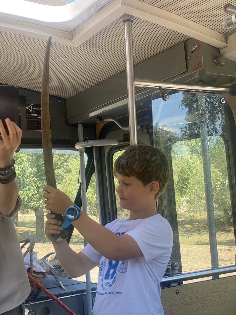 Max`s friend with a horn at the bus at the Safaripark Beekse Bergen, during the Bus Safari