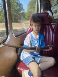 Max with a horn at the bus at the Safaripark Beekse Bergen, during the Bus Safari