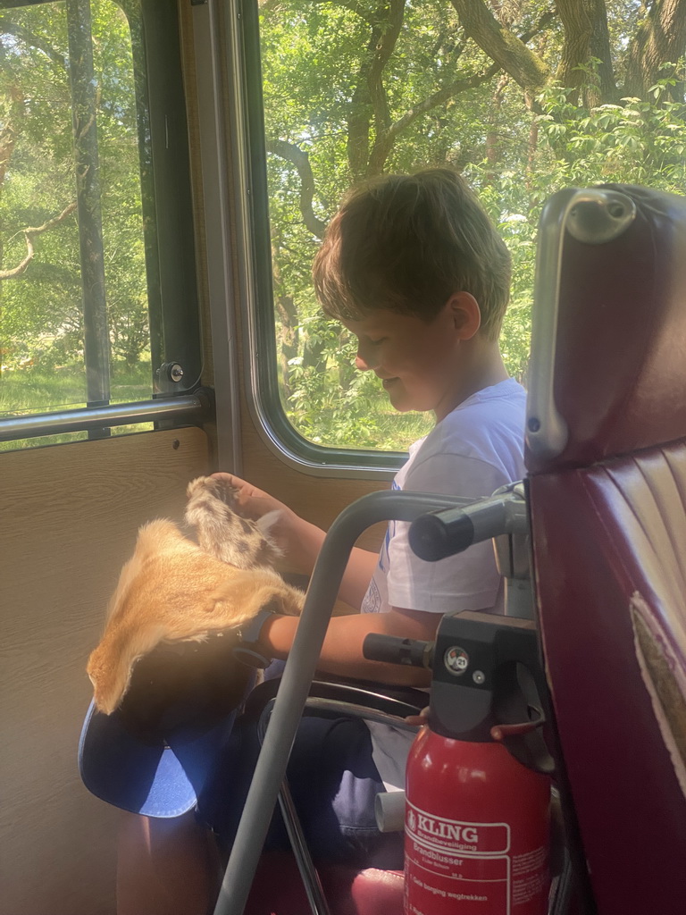 Max`s friend with Lion and Leopard skins at the bus at the Safaripark Beekse Bergen, during the Bus Safari