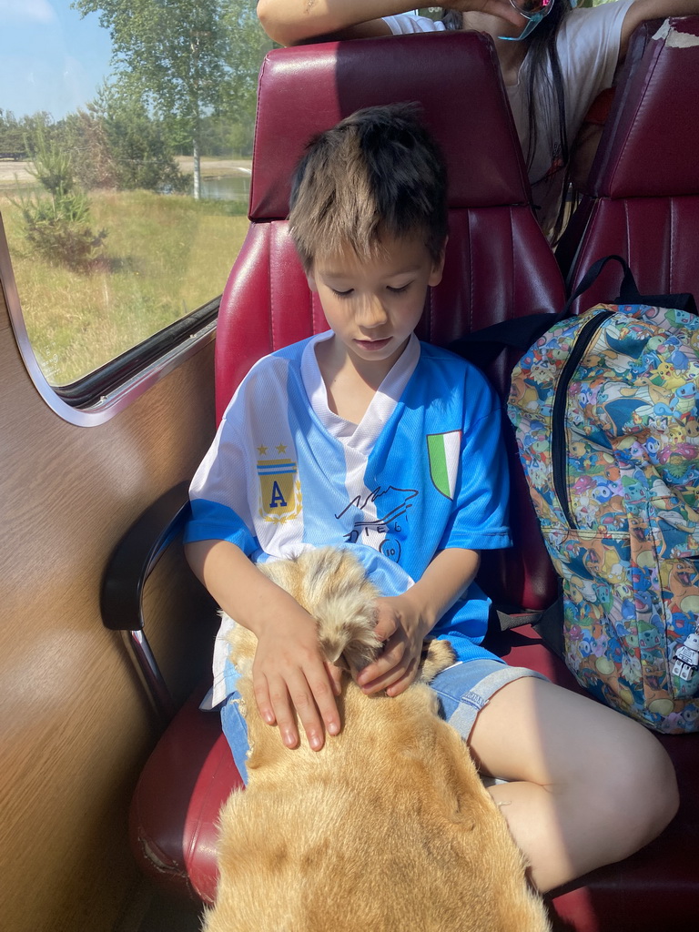 Max with Lion and Leopard skins at the bus at the Safaripark Beekse Bergen, during the Bus Safari