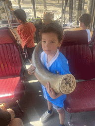 Max with a horn at the bus at the Safaripark Beekse Bergen, during the Bus Safari