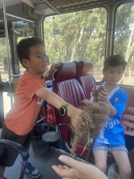 Max and his friend with Camel hair at the bus at the Safaripark Beekse Bergen, during the Bus Safari