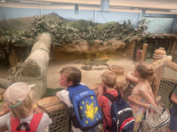 Max`s friends with Nile Crocodiles at the Hippopotamus and Crocodile enclosure at the Safaripark Beekse Bergen
