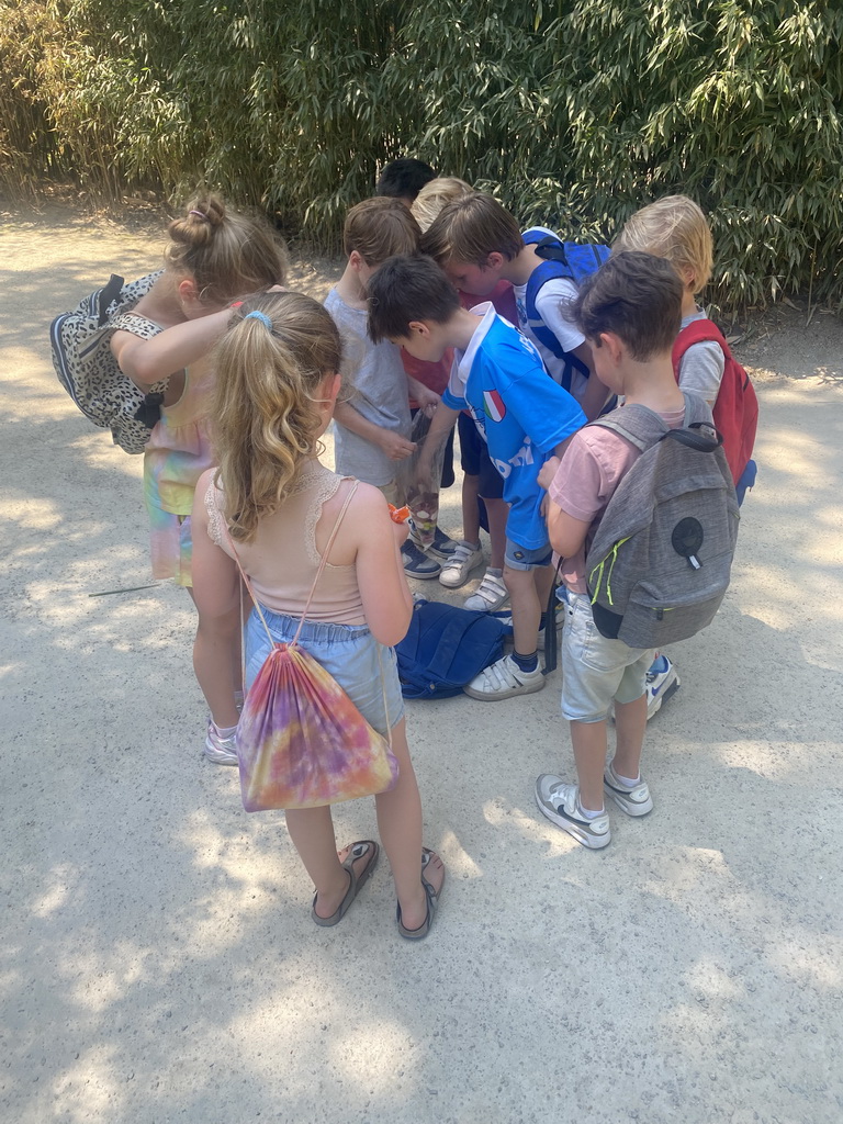 Max and his friends eating candy in front of the Hippopotamus and Crocodile enclosure at the Safaripark Beekse Bergen