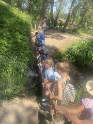 Max`s friends on a pole bridge at the Ring-tailed Lemur enclosure at the Safaripark Beekse Bergen