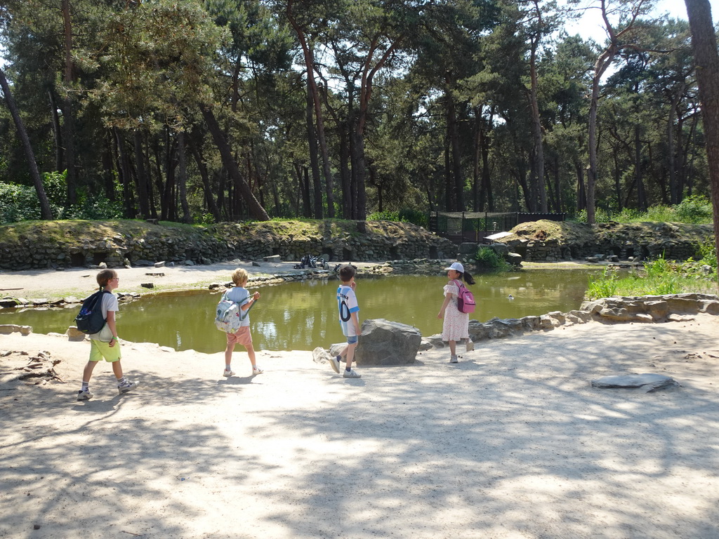 Max and his friends with African Penguins at the Safaripark Beekse Bergen