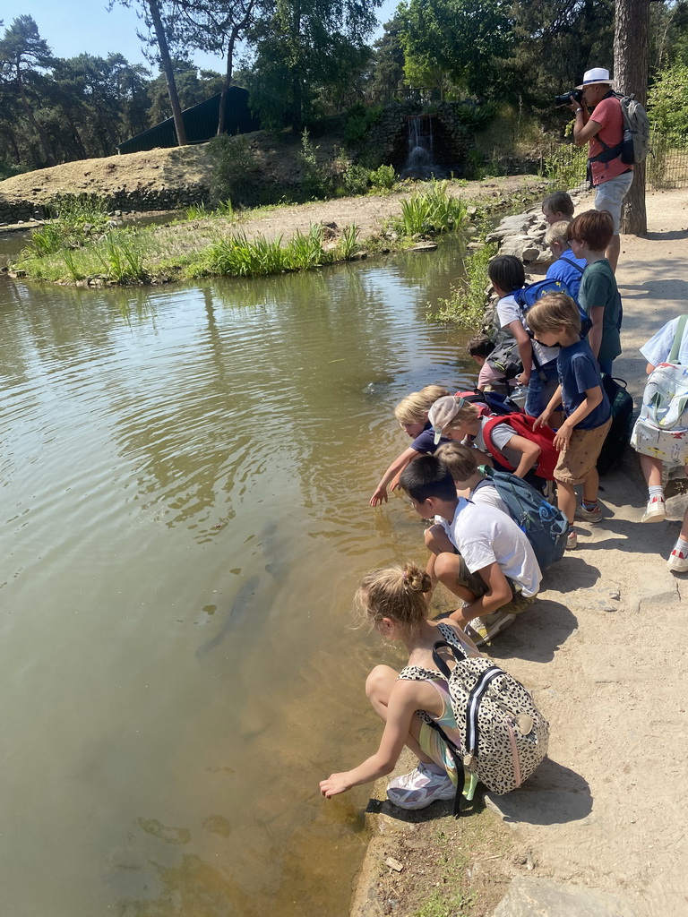 Max`s friends with fish at the African Penguin enclosure at the Safaripark Beekse Bergen