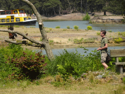 Zookeeper, Steppe Eagles and safari boat at the Safaripark Beekse Bergen, during the Birds of Prey Safari