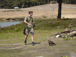 Zookeeper and Vulture at the Safaripark Beekse Bergen, during the Birds of Prey Safari