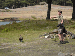 Zookeeper and Vulture at the Safaripark Beekse Bergen, during the Birds of Prey Safari