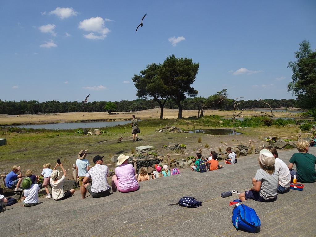 Max`s friends, zookeeper, Vulture and Falcons at the Safaripark Beekse Bergen, during the Birds of Prey Safari