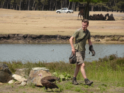 Zookeeper, Vulture and and Camel at the Safaripark Beekse Bergen, during the Birds of Prey Safari