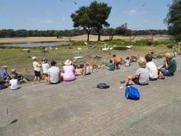 Zookeeper, Vultures, other birds and Camels at the Safaripark Beekse Bergen, during the Birds of Prey Safari