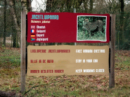 Explanation on the Cheetah at the Safaripark Beekse Bergen, viewed from the car during the Autosafari