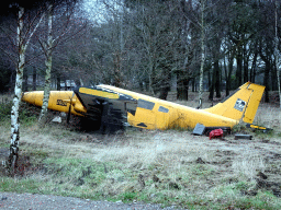 Airplane at the Safaripark Beekse Bergen, viewed from the car during the Autosafari