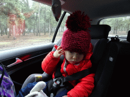 Max in the car during the Autosafari at the Safaripark Beekse Bergen