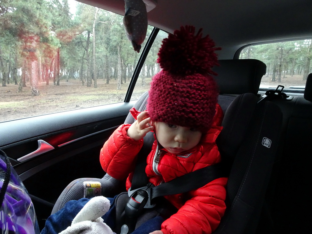 Max in the car during the Autosafari at the Safaripark Beekse Bergen