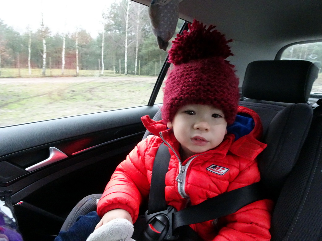 Max in the car during the Autosafari at the Safaripark Beekse Bergen