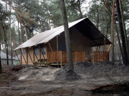 Holiday home of the Safari Resort at the Safaripark Beekse Bergen, under construction, viewed from the car during the Autosafari