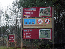 Explanation on the Rothschild`s Giraffe and Grévy`s Zebra at the Safaripark Beekse Bergen, viewed from the car during the Autosafari