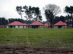 Holiday homes of the Safari Resort at the Safaripark Beekse Bergen, under construction, viewed from the car during the Autosafari