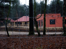 Holiday homes of the Safari Resort at the Safaripark Beekse Bergen, under construction, viewed from the car during the Autosafari