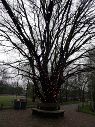 The Tree of Light at the Safaripark Beekse Bergen, during the Winterdroom period